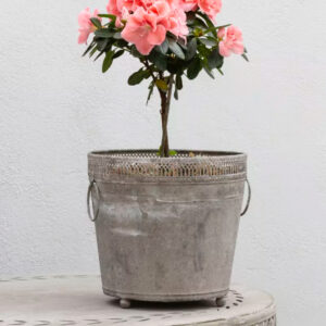 Decorative Zinc Planter with Handles
