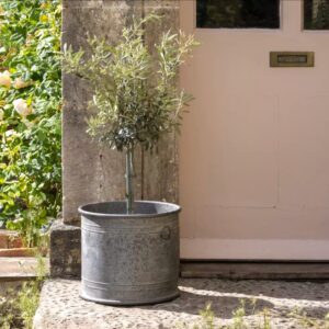 Zinc Bucket Planter with Handles - Large