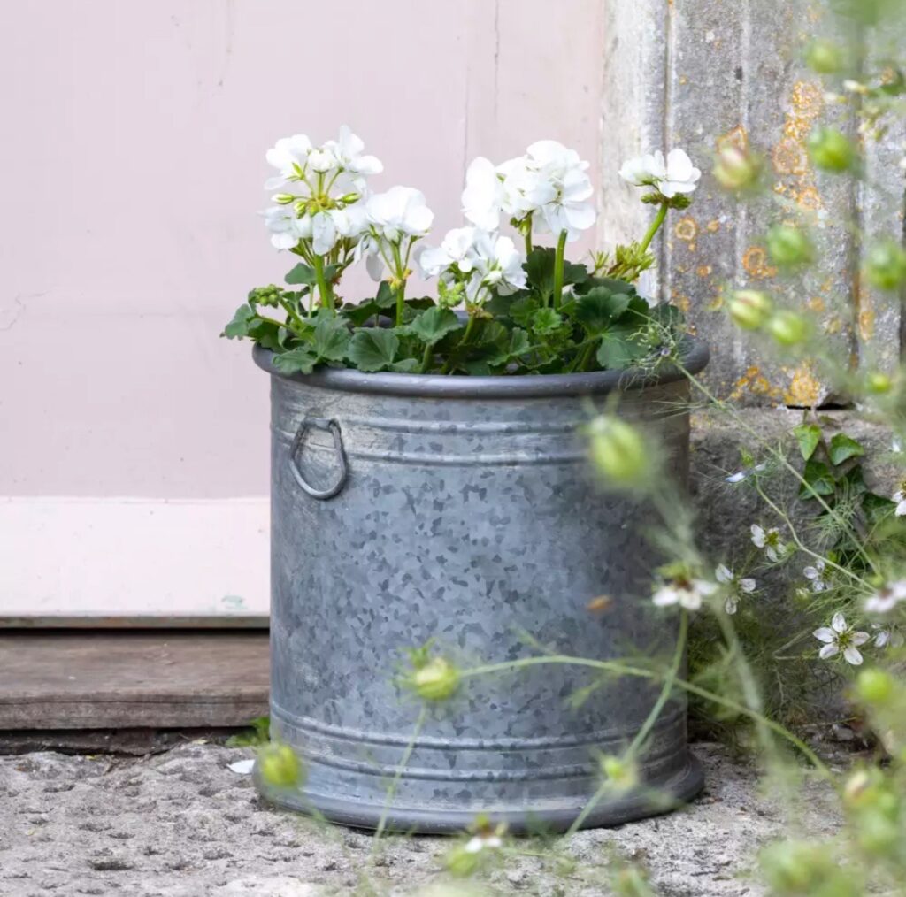 Zinc Bucket Planter with Handles - small