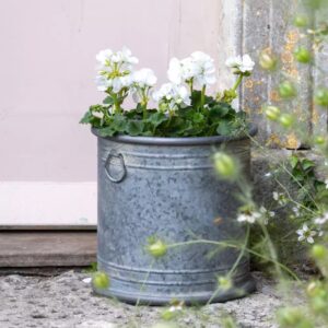 Zinc Bucket Planter with Handles - small